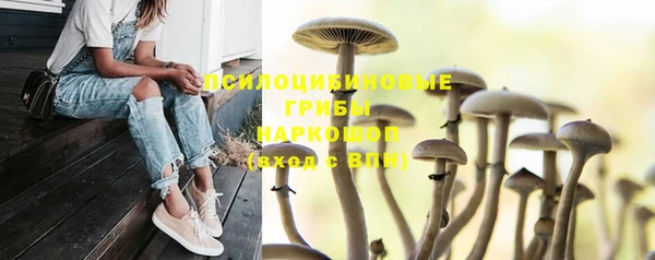 а пвп мука Медногорск