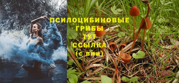 герыч Медвежьегорск