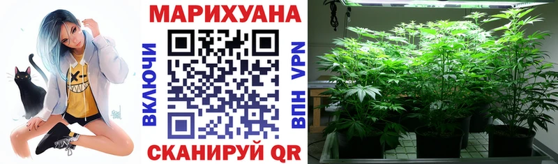 Бошки марихуана гибрид Томари